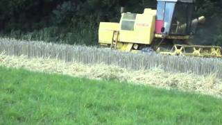 MOISSON D ORGE 2011