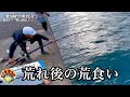荒れ後の離島沖堤防で釣れた未知の巨大生物を餌にすると南方の大物が連続ヒットして雄叫びが鳴り止まないの巻
