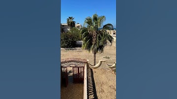 بصوت الشيخ عبد الباسط عبد الصمد أجمل قصص القران الكريم مقطع من سوره يوسف #اكسبلور