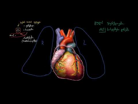 გავიცნოთ გული!