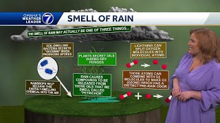 Why does rain have a specific scent KETV meteorologist Caitlin Harvey explains