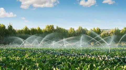 Greenhouse Evaporation Measuring Methods for Estimation of Reference Evapotranspiration