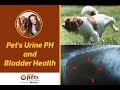 Pets urine ph and bladder health