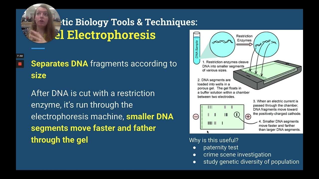 Molecular Biology Notes: Synthetic Biology