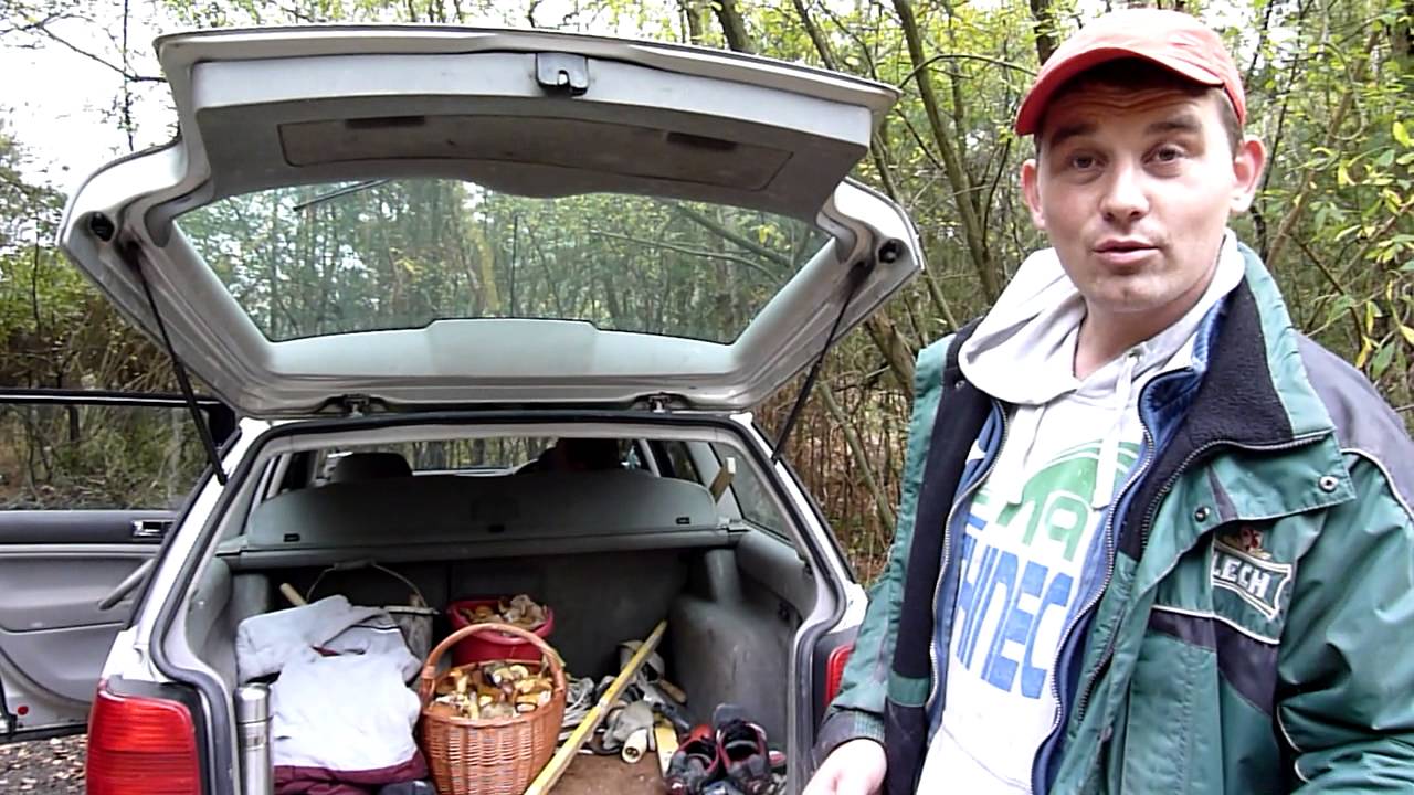 healthcare informatics Polish mushroom pickers in Surrey