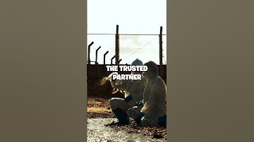 Contaminated Soil? Here