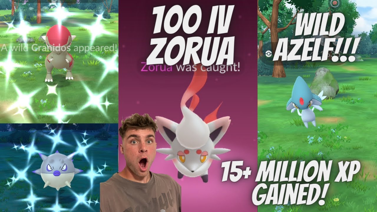 100 IV Hisuian Zorua CAUGHT, Wild Azelf and More in Pokemon Go!!!