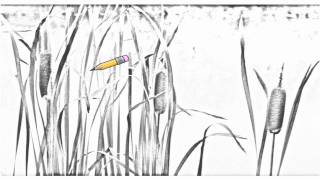 Auto Draw 2: Cattails screenshot 2