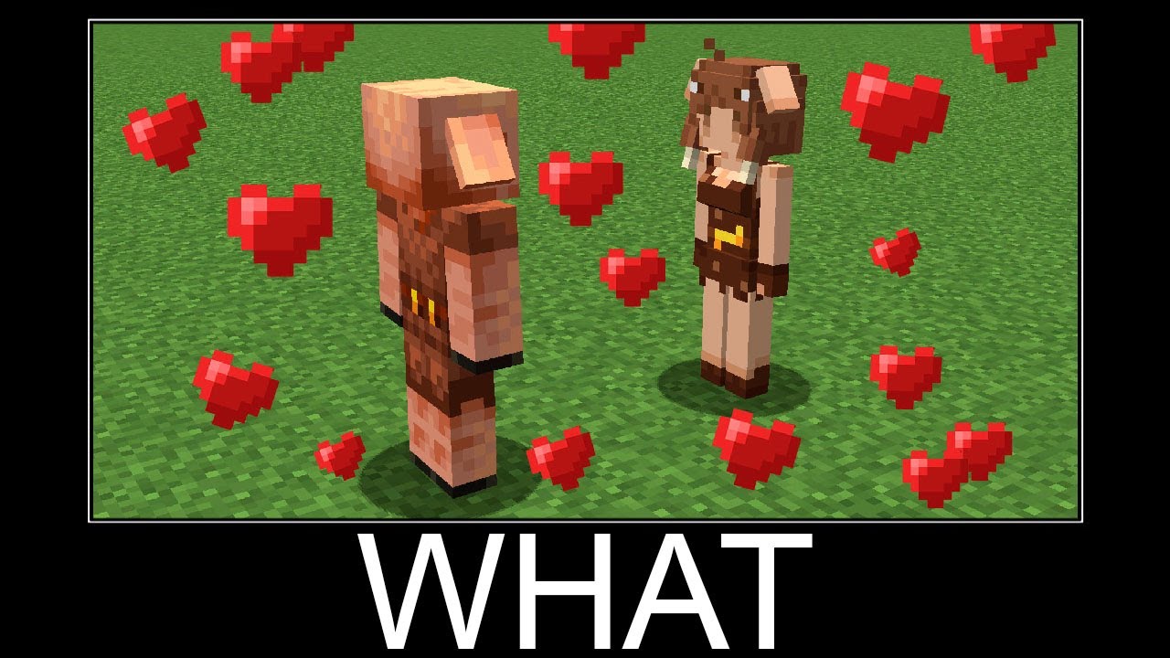 Minecraft WAIT WHAT meme 24/7 Livestream #663 - YouTube