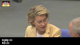 Neulich im Bundestag (21) – Vizekanzler Rocky