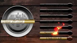 Sessiz Devrim Resimi