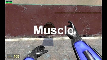 Gmod10 Menu: Constraints