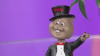 How accurate is the groundhog?