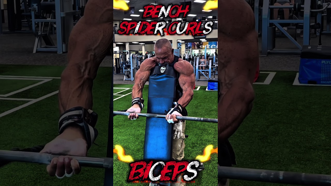 BENCH SPIDER CURLS FOR BICEPS #biceps #workout #motivation #workouttips #SPIDER