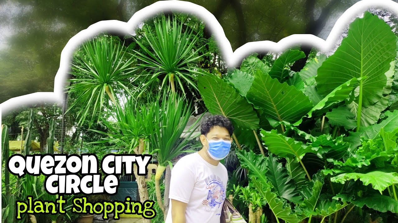 Quezon City Circle Plant Shopping and Haul