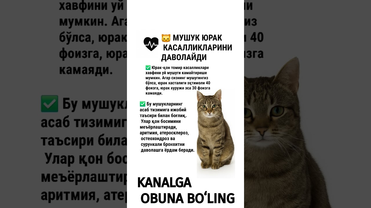 Birodar bilan jinsiy aloqa