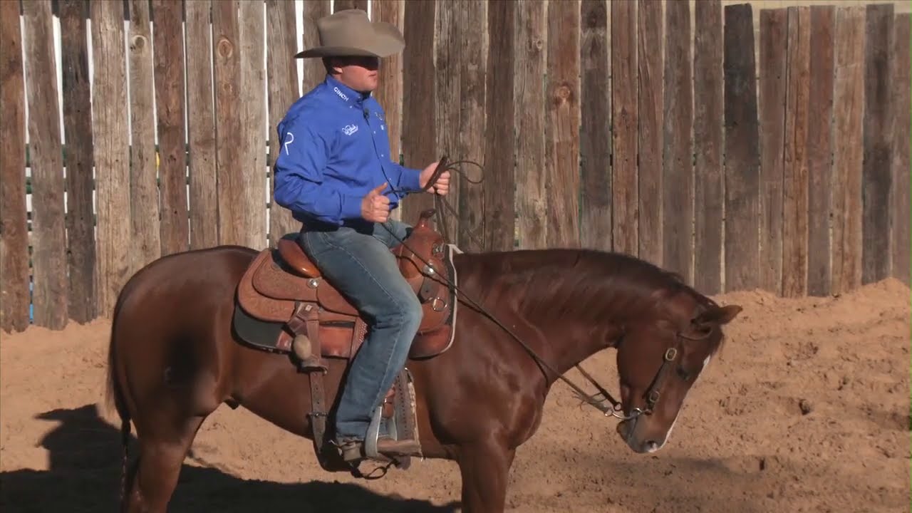 Casey Deary Collection And Head Carriage