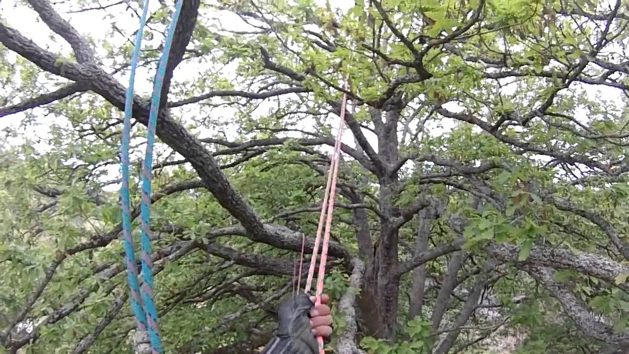Twenty Fourteen tree work compilation - YouTube