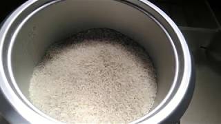 Container Gardening | Hugas-Bigas (Rice Water) as Organic Fertilizer