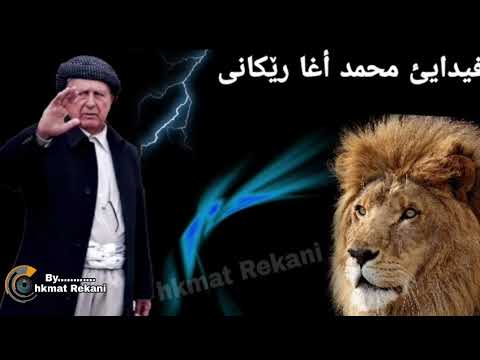 هه وار ريكاني عه شيره تا ريكانيا 2020