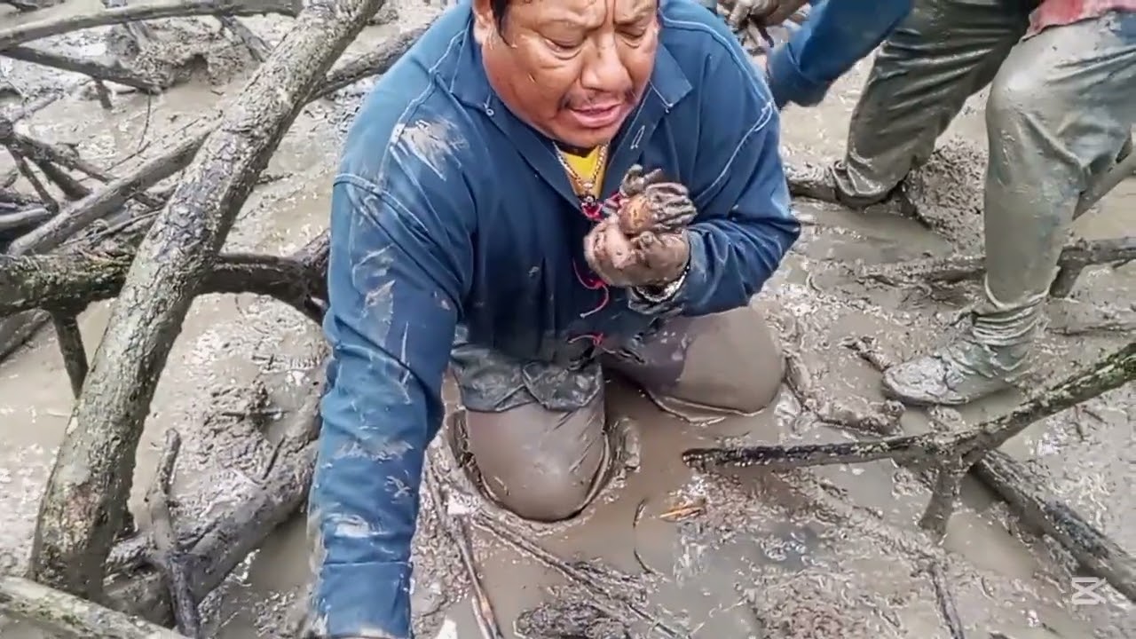 Alerta cangrejos 🦀 en peligro de extinción 