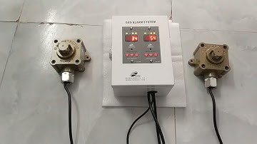 Bộ báo rò gas 2 đầu dò chống nổ ACE - Hàn Quốc