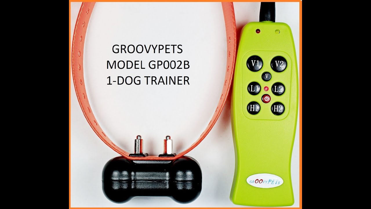 GoGo Pets Go Go Pets Vibrate Shock Collar Review YouTube