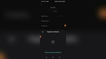 HOW TO GET BITCOIN PRIVATE KEY ON BITGET WALLET