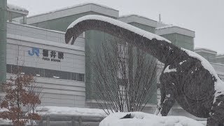 日本海側、大雪警戒 上空強い寒気