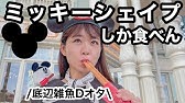 ディズニーオタがよく使う用語 ジャーニー って何 Youtube