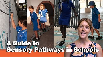 A Guide to Sensory Pathways in Schools