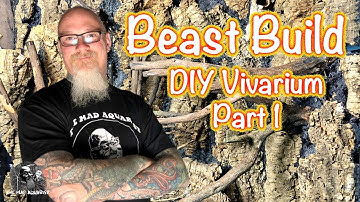 DIY HUGE Rain forrest BIOACTIVE Vivarium build part1