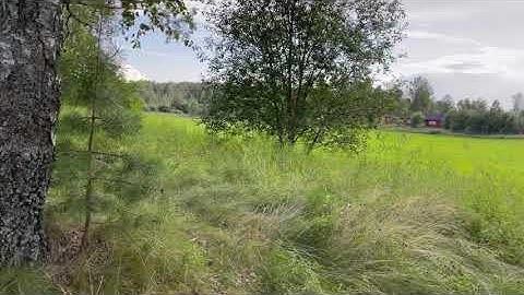 Learning to enjoy our struggles, trailer!