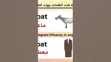 تعلم نطق الكلمات معطف ماعز باللغة الانجليزية Goat Coat Shorts 