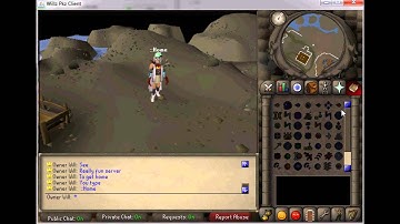 New Runescape Private Server! 317! Webclient!