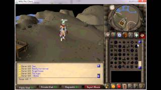 New Runescape Private Server! 317! Webclient!