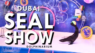 Seal Show Dubai Dolphinarium