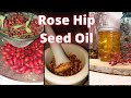 How to Make Rose Hip Seed Oil | DIY RoseHip Oil