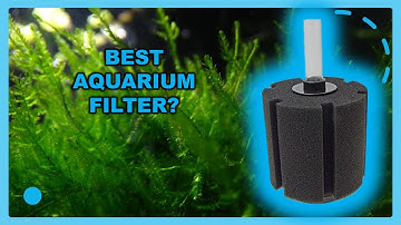 How to set up a sponge filter | BEST AQUARIUM FILTER