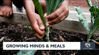 Growing minds and meals