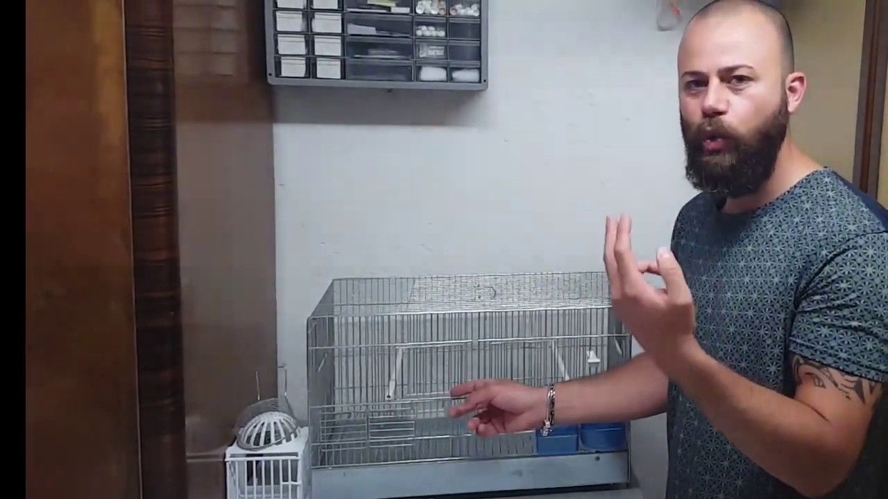 La gabbia, la base per poter iniziare a tenere dei canarini