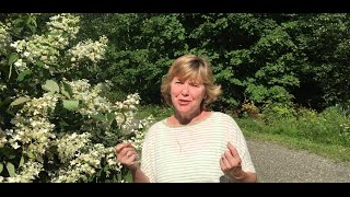 Summer 2016 Greetings from Suzane