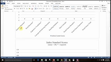Speech and Language Report: Secret Video