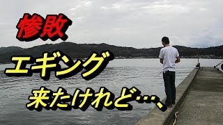 惨敗！エギング釣行記