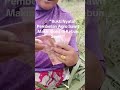 Viral pupuk Agrosawit. wawa 081214444732