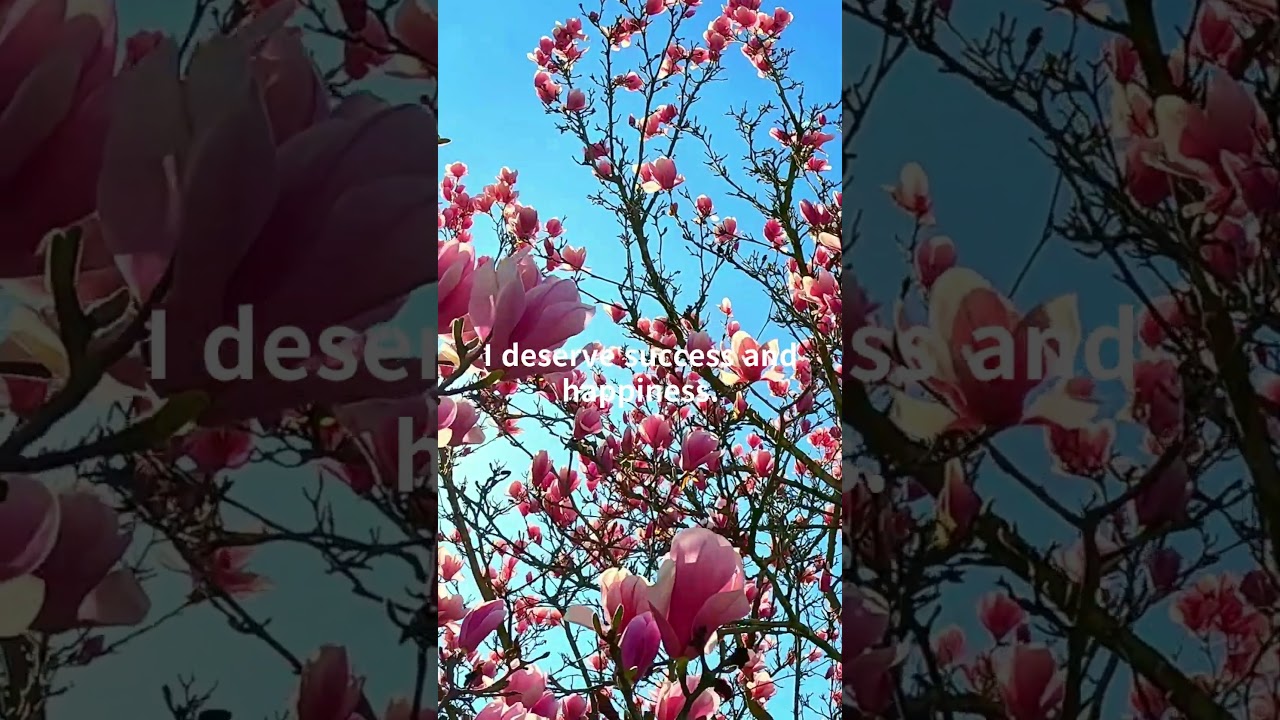 I deserve success and happiness.