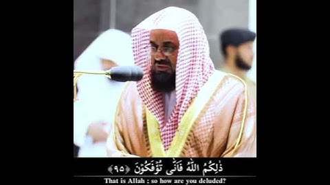 ( إن الله فالق الحب والنوى ... ) - تلاوة خاشعة من سورة الأنعام  الشيخ سعود الشريم