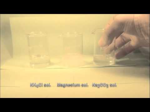 Reaction of Magnesium solution with Sodium Carbonate solution - YouTube