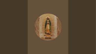 Our Lady of Guadalupe San Bernardino is live!