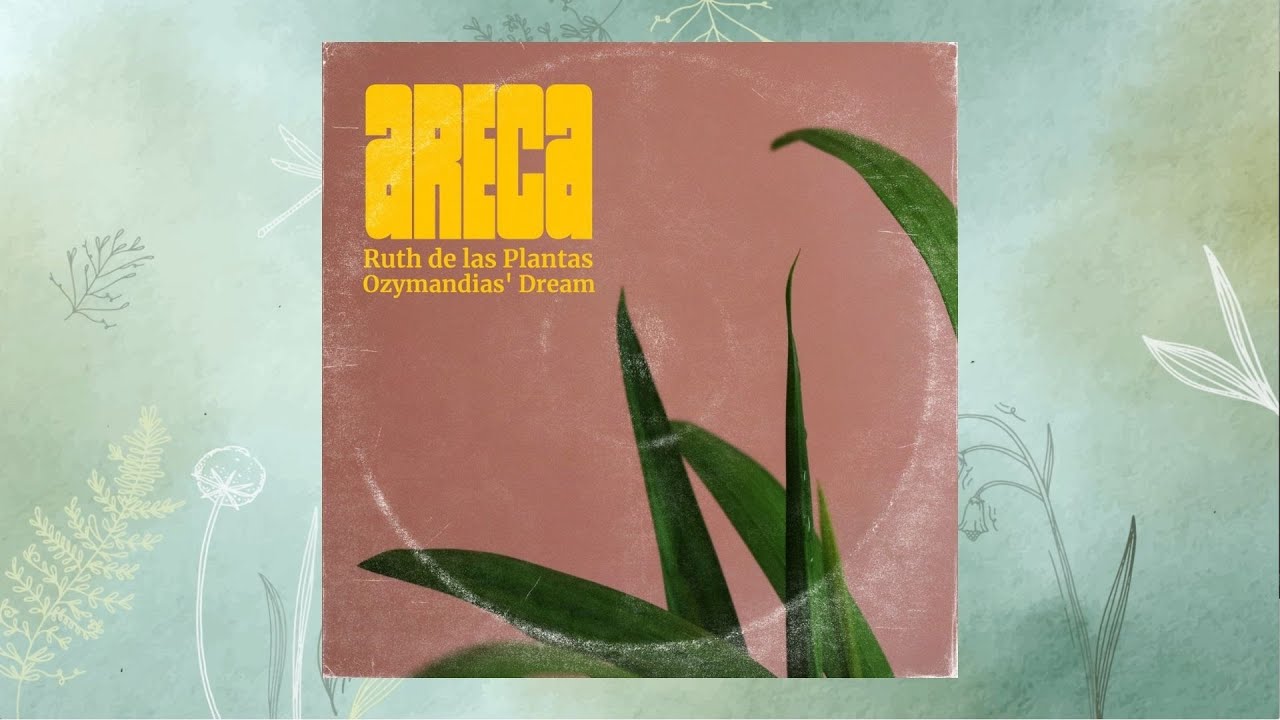 Watch Areca - lofi para plantas - Ruth de las Plantas & Ozymandias' Dream on YouTube Watch Areca - lofi para plantas - Ruth de las Plantas & Ozymandias' Dream on YouTube